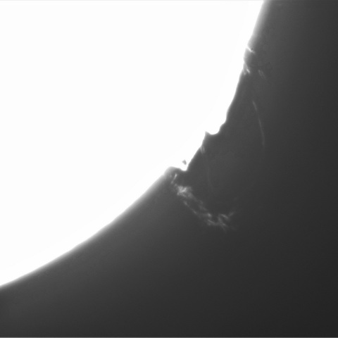 2月18日の太陽④（プロミネンス　南西縁）