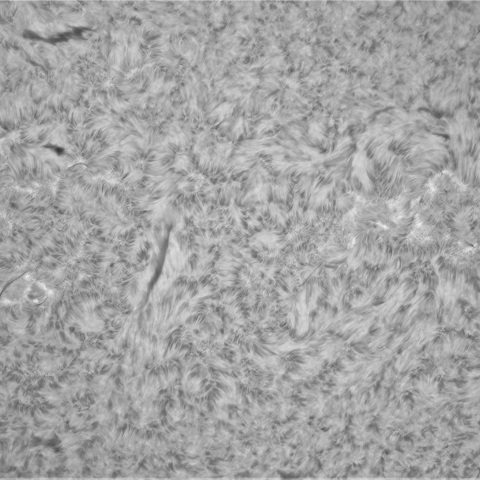 2月18日の太陽➂（3587，3584）