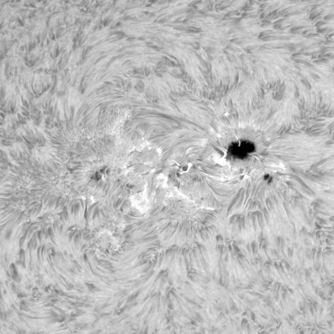 2月24日の太陽③（3590）
