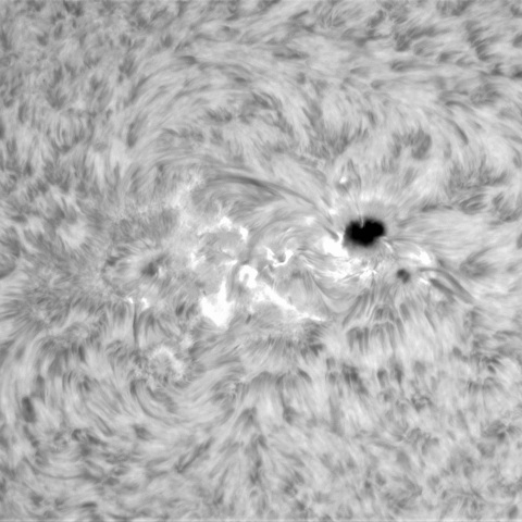 2月24日の太陽⓶（3590）