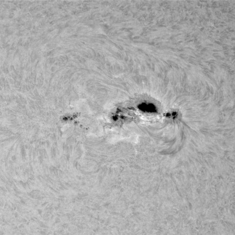 2月26日の太陽②（3590）
