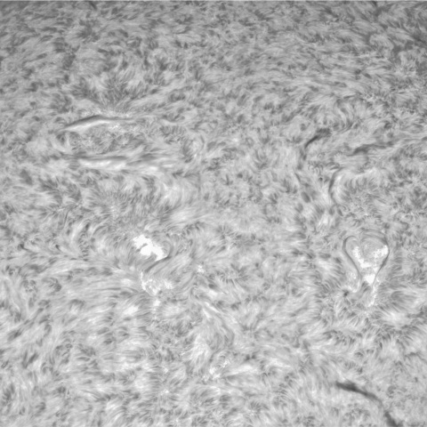 2月27日の太陽⓵（東半球　９０度右回転）