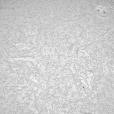 2月28日の太陽②（東半球）
