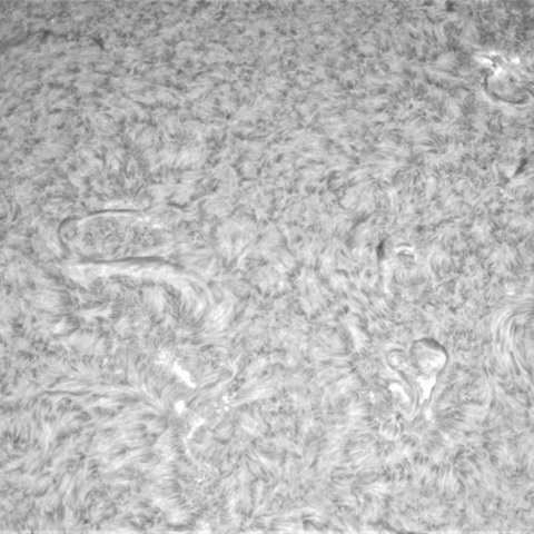 2月28日の太陽①（東半球　９０度右回転）