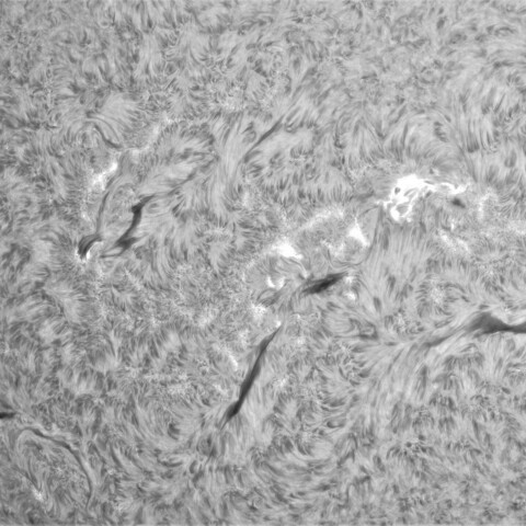 3月7日の太②（3600，3599）