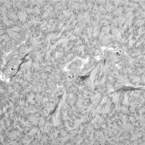 3月8日の太陽①（3605，3600，3599）