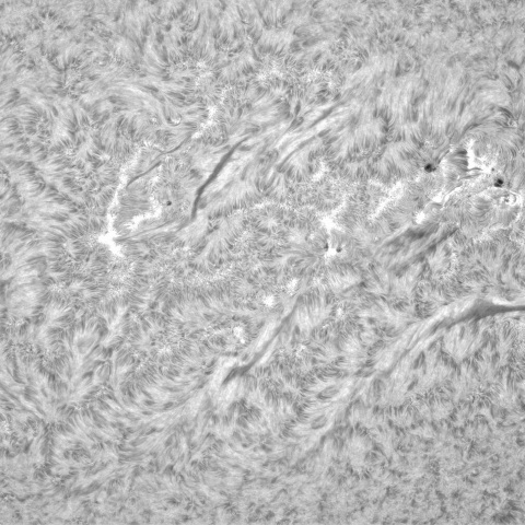 3月10日の太陽①（3605，3600，3599）