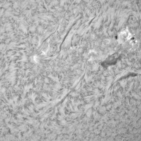 3月11日の太陽②（3605，3600，3599）
