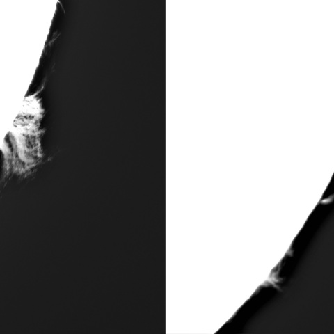 3月11日の太陽①（プロミネンス　南西縁）