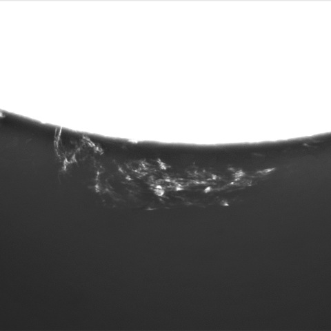 3月13日の太陽③（プロミネンス　南底）