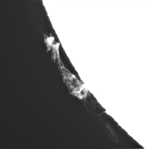 3月13日の太陽②（プロミネンス　南東縁）