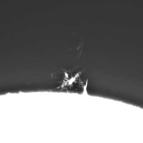 3月13日の太陽①（プロミネンス　北頂）