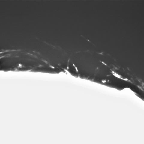 3月14日の太陽①（プロミネンス　南西縁　90°左回転）