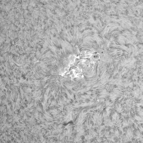 3月22日の太陽②（3617，3615）