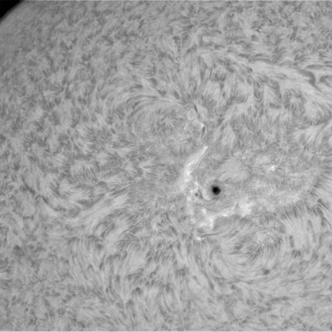 3月22日の太陽①（3619，3614）