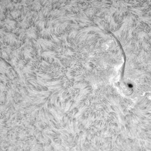 3月24日の太陽②（3619，3614）