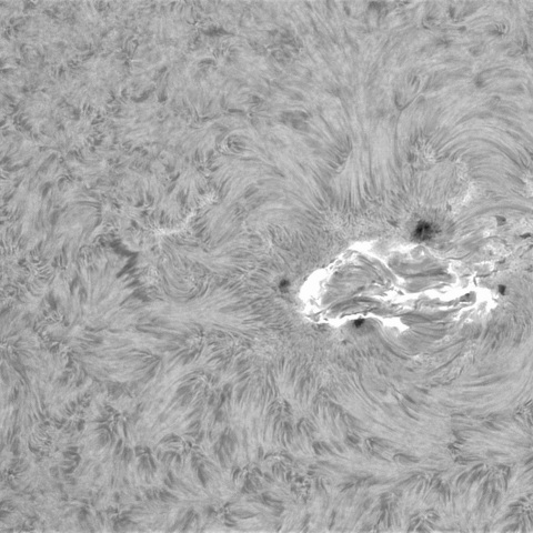 3月24日の太陽①（3617，3615）