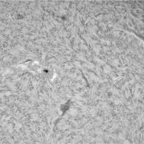 3月27日の太陽②（3619，3614）