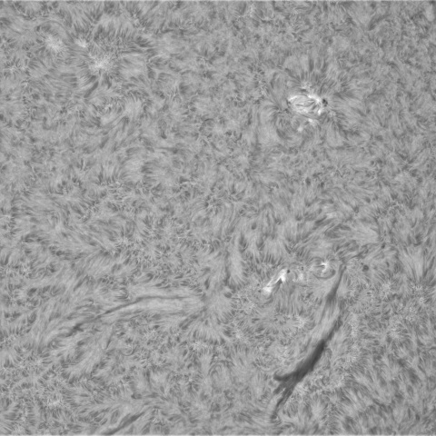 4月6日の太陽②（3629，3630）
