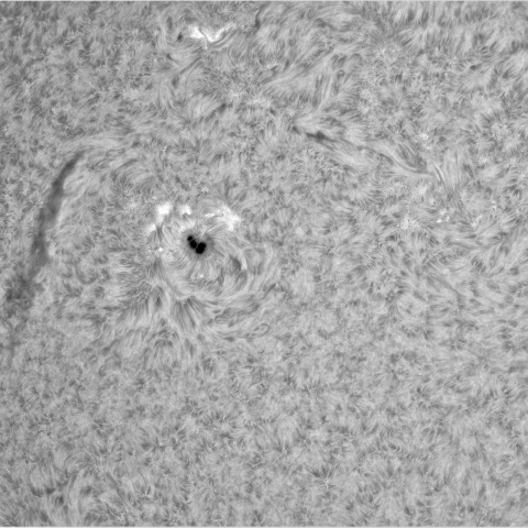 4月７日の太陽①（3633，3628、3632）