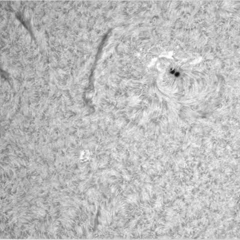 4月8日の太陽②（3633，3628）