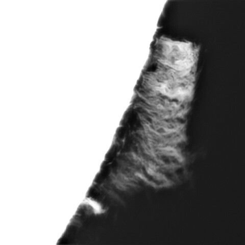 4月12日の太陽④（プロミネンス 南西縁）