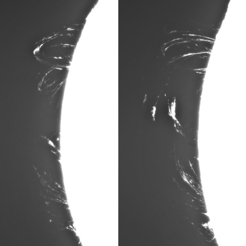 4月12日の太陽③（ポストフレアループXXⅠ）