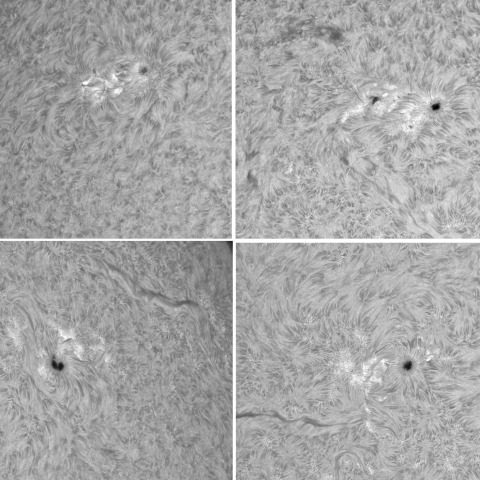 4月12日の太陽②（活動領域）