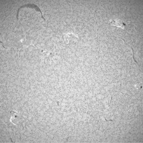4月15日の太陽①（黒点帯）