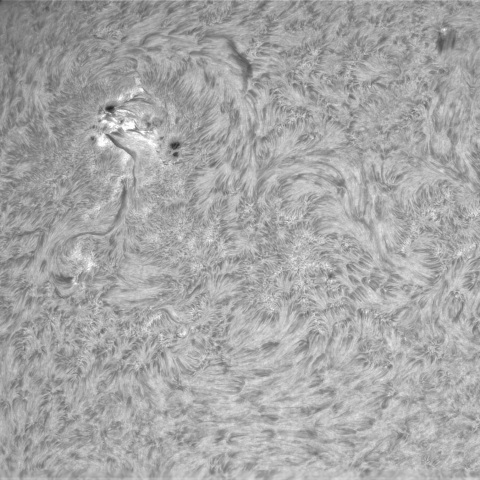 4月17日の太陽②（3644，3639）