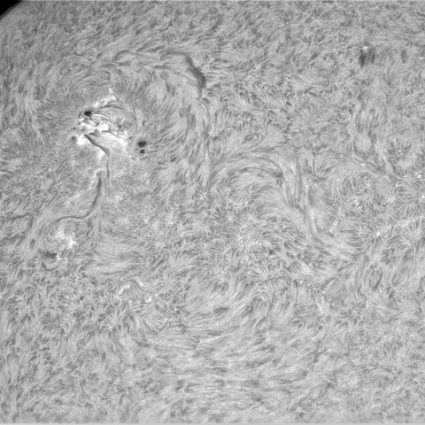 4月17日の太陽（②画像処理直し）