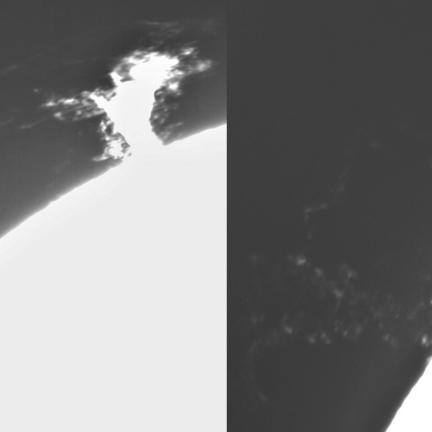 4月19日の太陽②（プロミネンス噴出 南東縁　９０度右回転）