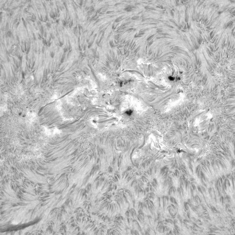 4月20日の太陽③（南半球中央部）