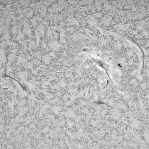 4月20日の太陽②（北半球中央部）