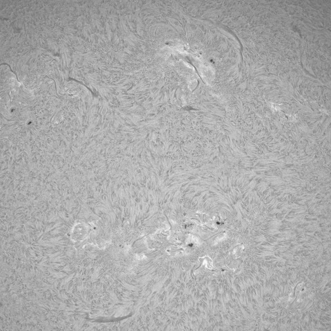 4月20日の太陽①（黒点帯）