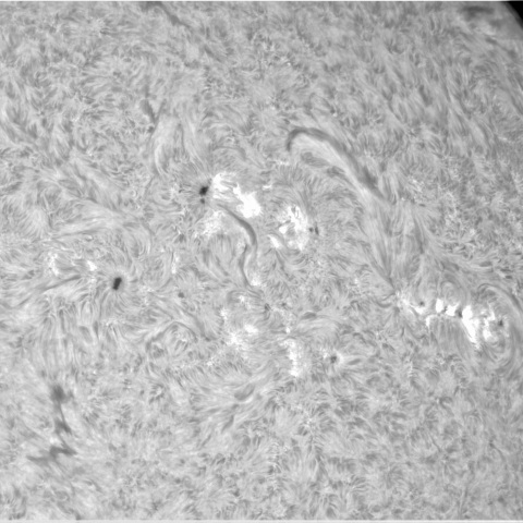 4月25日の太陽②（3652，3646，3644，3648，3639）