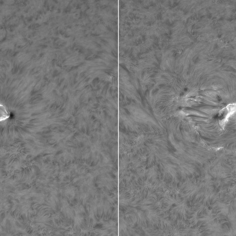 5月3日の太陽③（3663フレアX1.6）