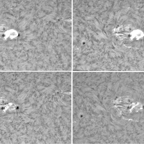 5月3日の太陽②（3663フレアX1.6）