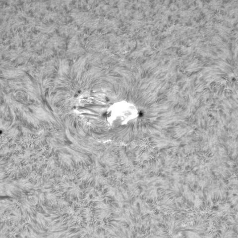 5月3日の太陽⓵（3663フレアX1.6）