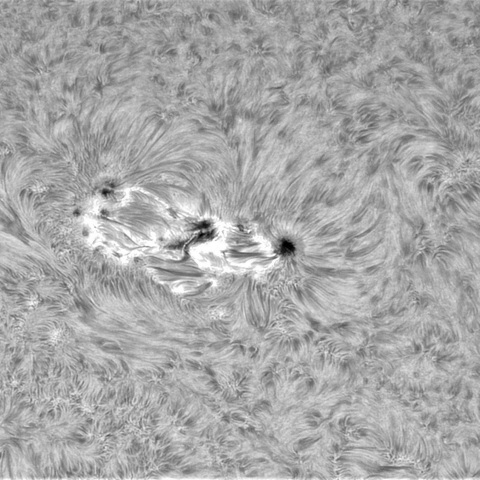 5月4日の太陽②（3661，3663，3662）