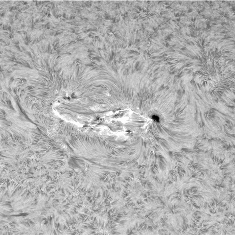 5月5日の太陽②（3662，3663、3661）