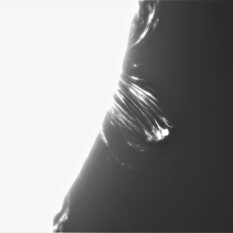 5月14の太陽（ポストフレアループ　XXⅡ phase2）　