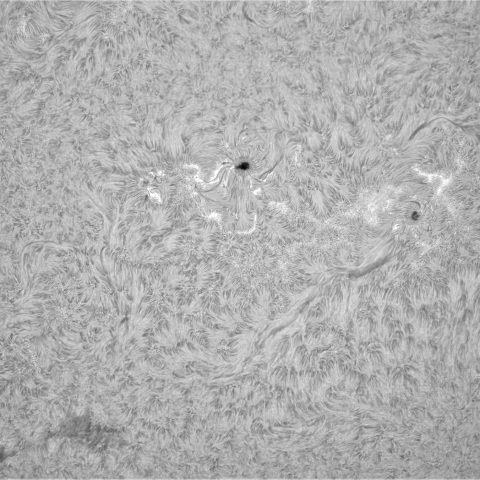 5月18の太陽②（3686，3685，3679，3674，3673，3683，3676）　