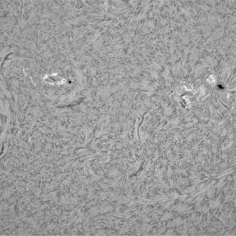 5月20の太陽⓵（南半球）　