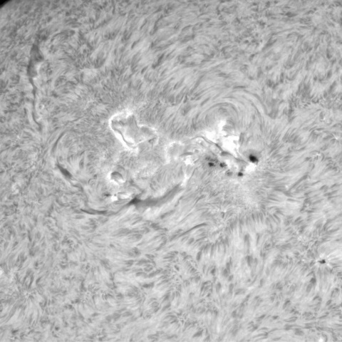 5月29の太陽②（3695，3691．3690）　