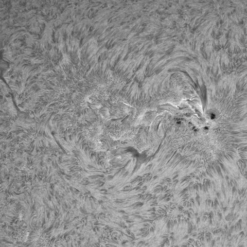 5月30の太陽①（3695，3691，3690）　