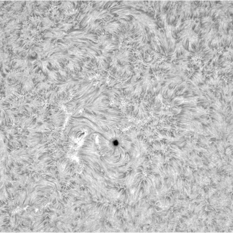 6月6の太陽②（3702）　