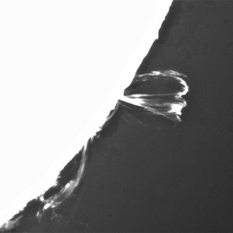 6月24の太陽①（ポストフレアループ XX Ⅴ）