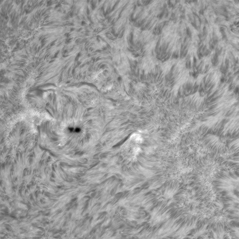 6月25の太陽①（3721）