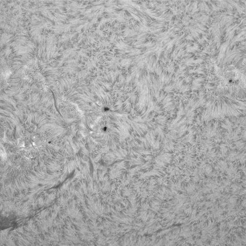 6月27の太陽①（南半球　黒点帯）